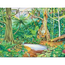 Rainforest Background Only